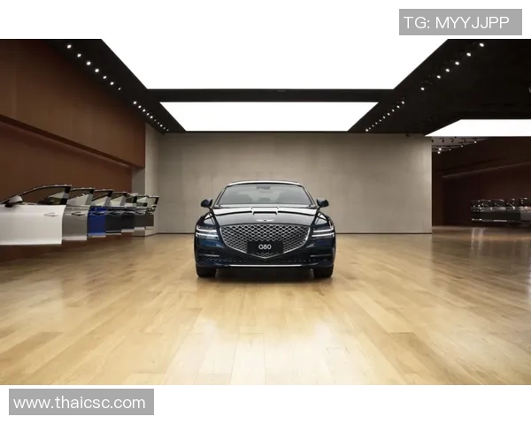 飞盘热潮下的成都飞盘队:比赛经验的创新与变革之路